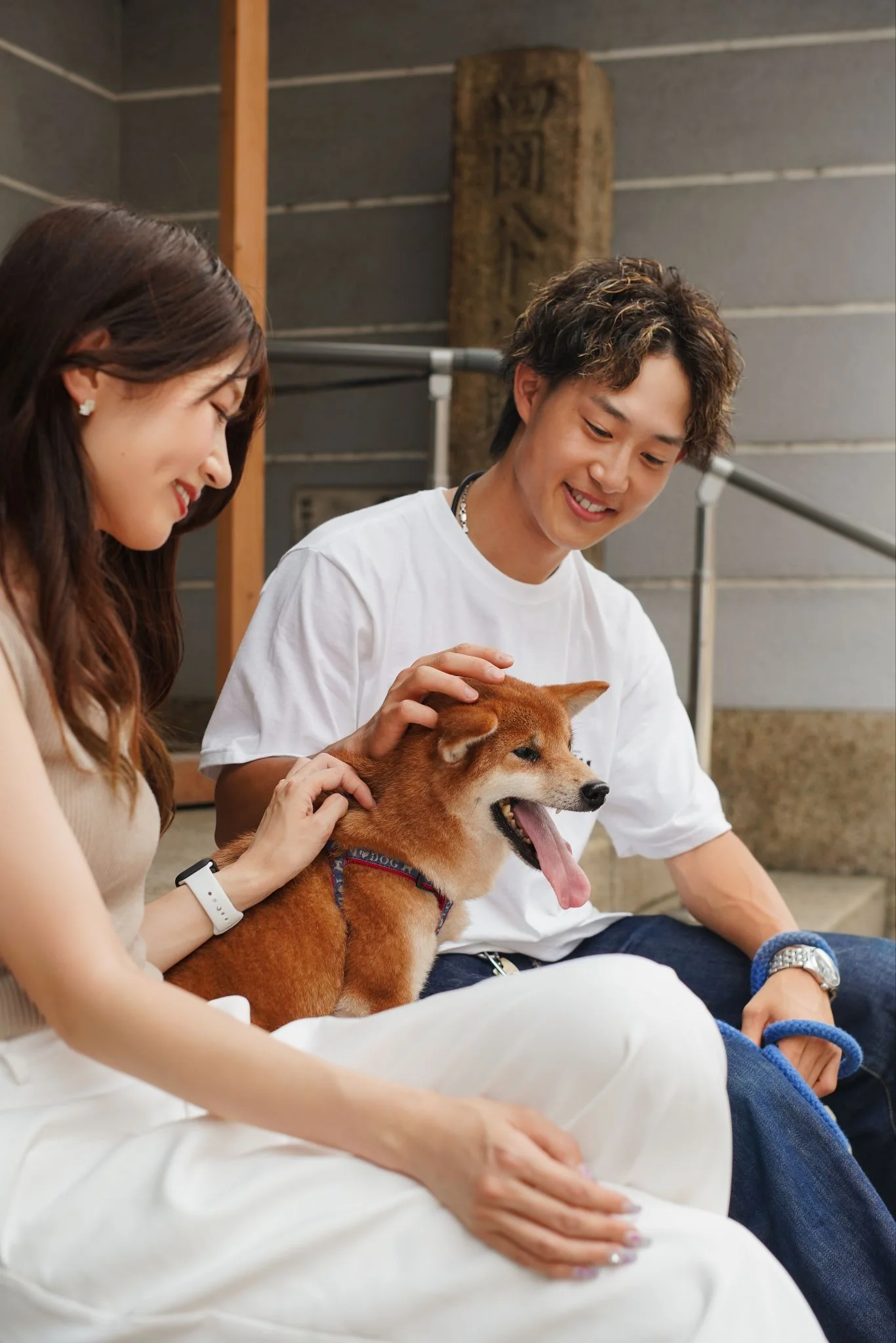 Pet Humanization & Longevity